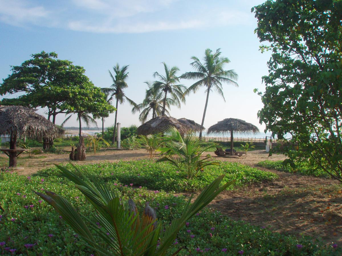 Stardust Beach Hotel Arugam Bay Exterior photo